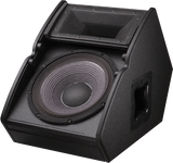 Electro-Voice TX1122FM 12" passive floor monitor